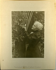 Image description is not available for PHO-4-W689-288